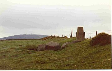 Trig point at summit of Cupidstown Hill - geograph.org.uk - 223982.jpg