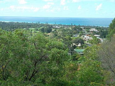 View of Ocean Shores, NSW, from Lookout Park 2014.jpg