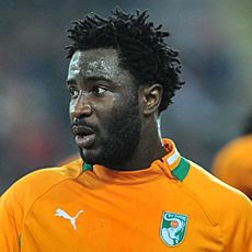 Wilfried Bony cropped