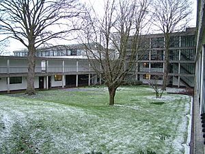 Wolfson Tree Quad