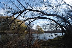 Yahara River Viking Park.jpg