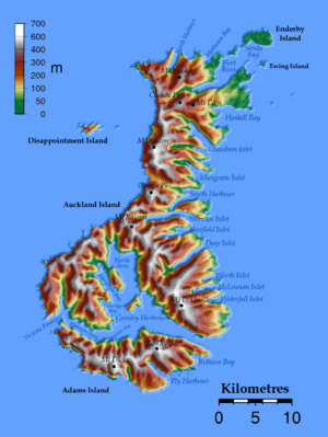 Auckland islands topo