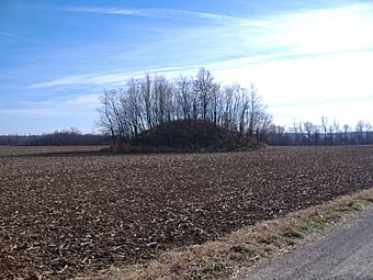 Austin Bown Mound.JPG