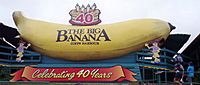 Big banana.JPG