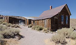 Bodie September 2016 054.jpg