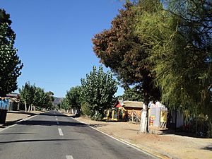 Calle en Navidad.jpg