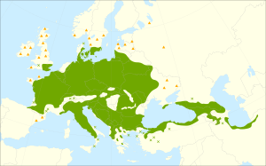 Carpinus betulus range.svg