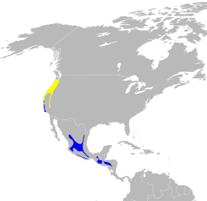 Dendroica occidentalis map.svg