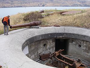 Derelict Armstrong guns Ripapa Island