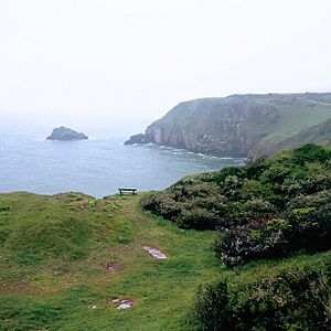 Devon Cliffs