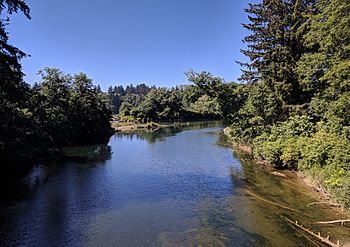 Dickey River mouth.jpg