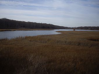 Fort-corchaug-vicinity.jpg