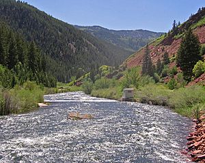 Fryingpan river.jpg