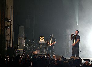 Funker Vogt Montreal 2011.jpg