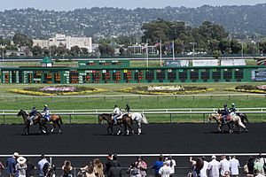 Horses and their jockeys at Golden Gate Fields