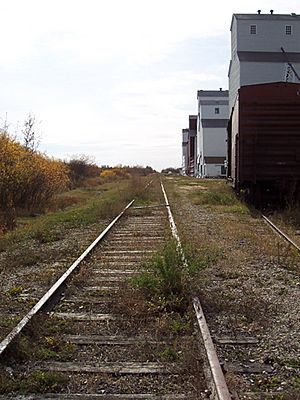 Inglis grain elevators