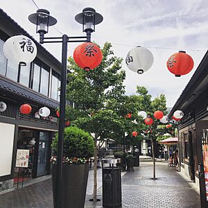 JapaneseVillagePlaza