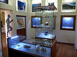 Kermanshah Paleolithic Museum