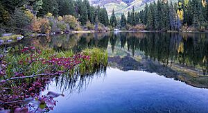 Lizard Lake, Colo