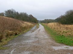 Long Drive at Higgins looking towards Stanecastle