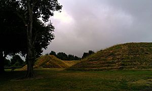 Maumbury Rings entrance