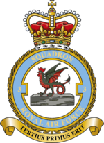 Squadron badge