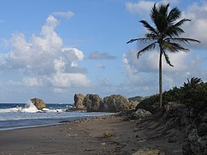 Saint Joseph, Barbados 005.jpg