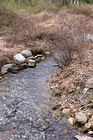 Salem Creek looking downstream