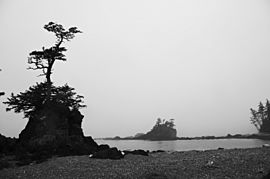 Sea Stacks, Cape Scott (9553590378)