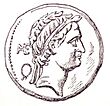 SeleucusIV - coin - face.JPG