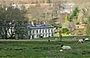 Sheep Pasture in the Grounds of Callaly Castle - geograph.org.uk - 149295 (cropped).jpg