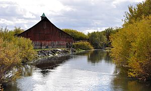 Silvies river at Burns.jpg