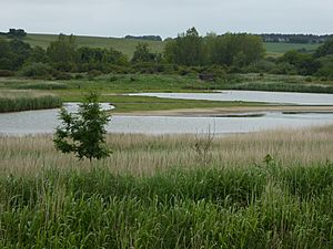 Stiffkey Valley 4.jpg