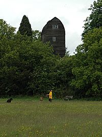 Tadworth mill