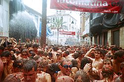 Tomatina 2006