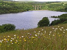 Wayoh Reservoir