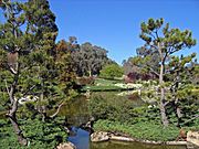 02. Japanese Garden, Cowra, NSW, 22.09.2006