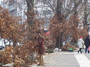 Badnjak saleswoman