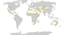 Biome map 13