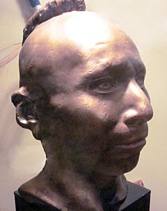 Black hawk life cast