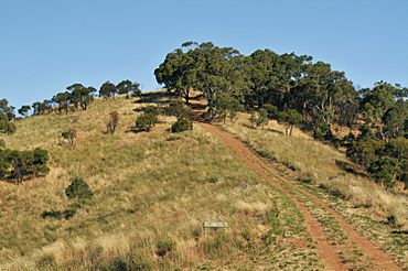 Black hill conservation park track.JPG