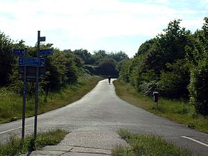 Bristol-Bath Cyclepath 08