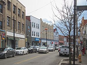 Brownsville Road commercial district in Mount Oliver