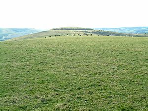 Caburn Fort - geograph.org.uk - 135099