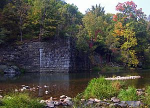 D&H Canal Neversink Aqueduct abutment