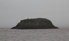 Denny Island closeup.jpg