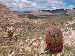 Granite Wash Mountains 2005.jpg