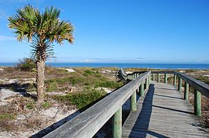 HannaParkBoardwalk