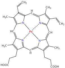 Heme