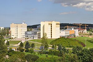 Koszalin University of Technology 2010-08